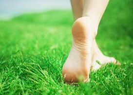 Chicken barefoot on the grass