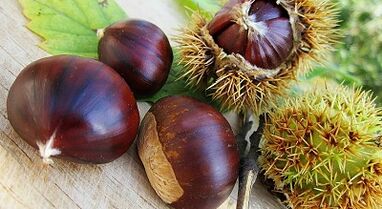 Horse Chestnut For Varicose Vein Prevention